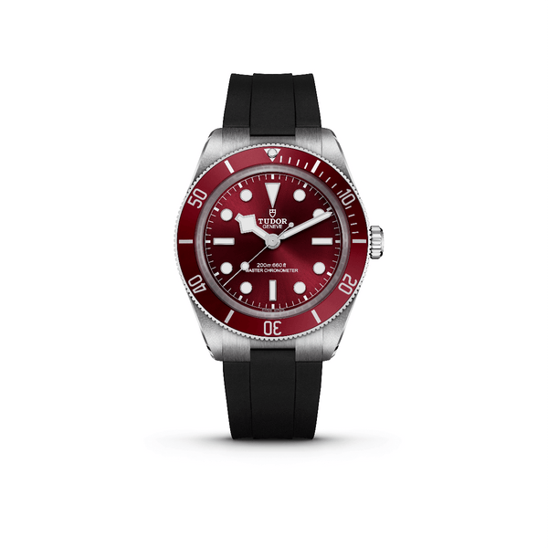 Tudor Watch Black Bay 58