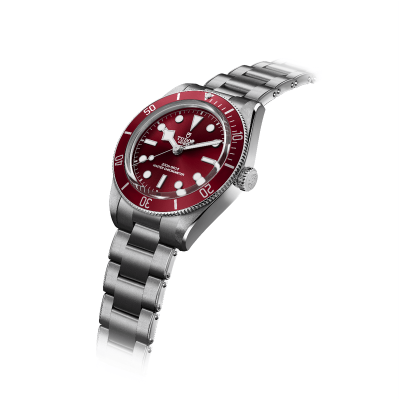 Tudor Watch Black Bay 58