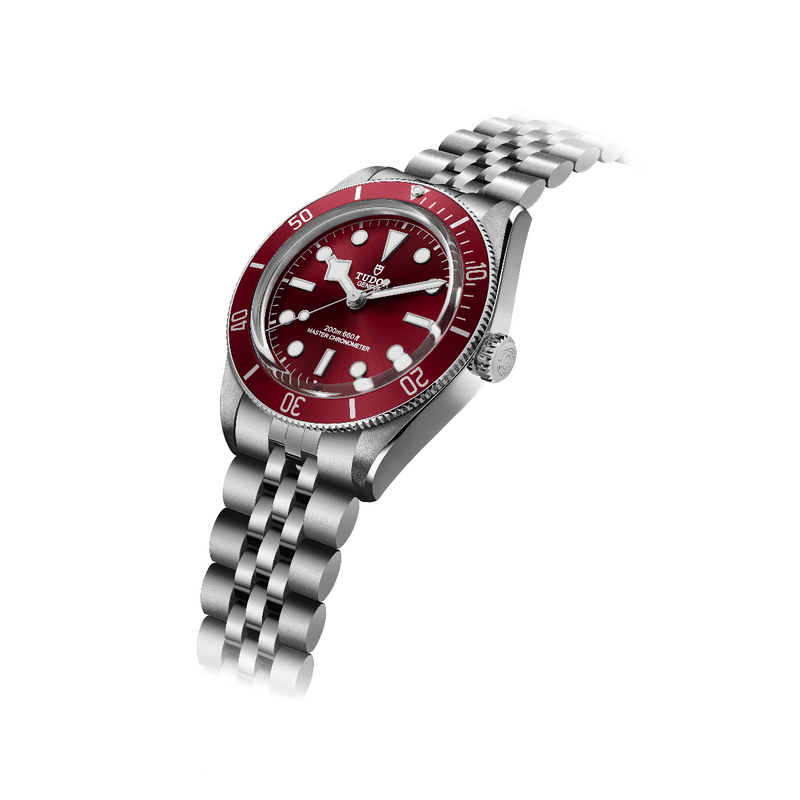 Tudor Watch Black Bay 58