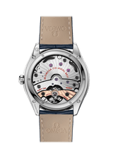 OMEGA Watch OMEGA De-Ville Tresor Master Co-Axial Chronometer 40 mm Watch O432.13.40.21.03.001