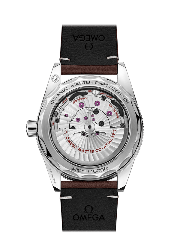 OMEGA Watch OMEGA Seamaster 300 Co-Axial Master Chronometer 41 mm Watch O234.32.41.21.01.001