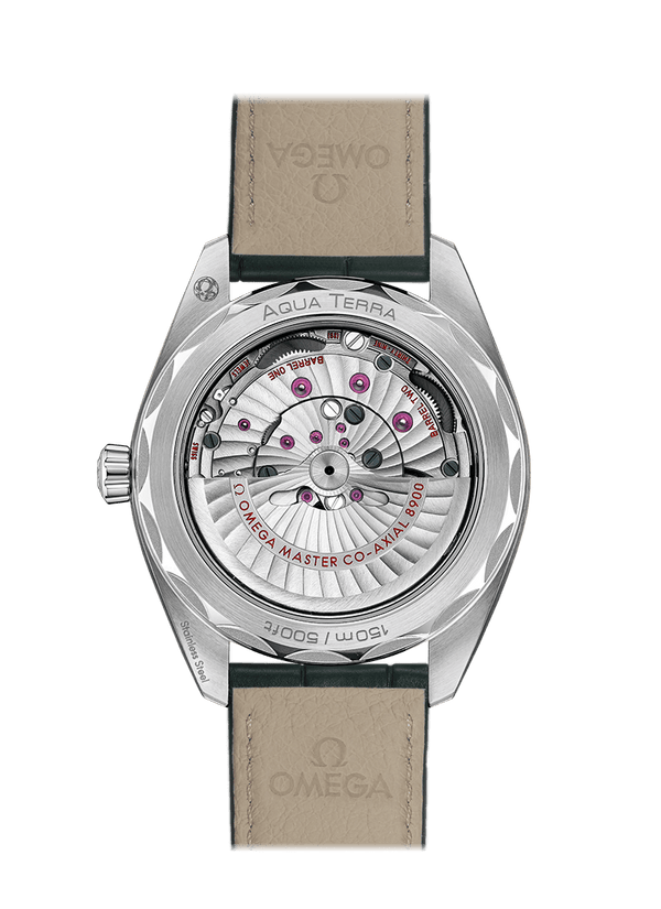 OMEGA Watch OMEGA SEAMASTER AQUA TERRA 150M O220.13.41.21.10.001