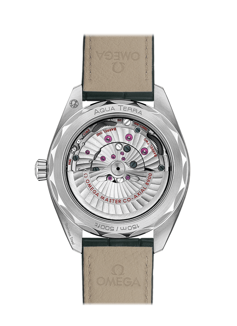 OMEGA Watch OMEGA SEAMASTER AQUA TERRA 150M O220.13.41.21.10.001