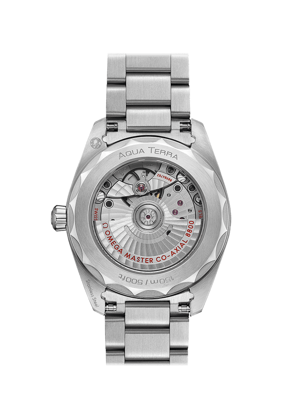 OMEGA Watch OMEGA SEAMASTER AQUA TERRA 38MM O220.10.38.20.03.001