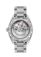 OMEGA Watch OMEGA Seamaster Aqua Terra O220.10.41.21.10.001