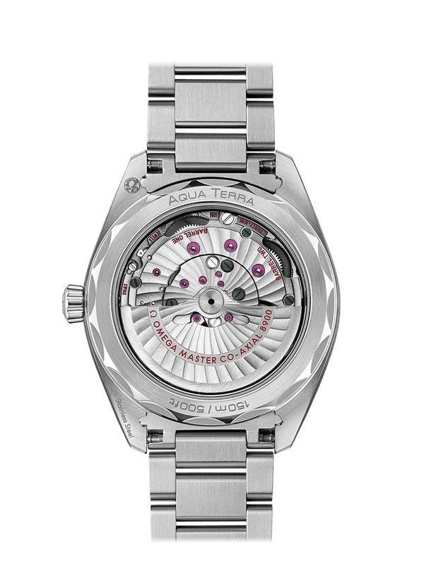 OMEGA Watch OMEGA Seamaster Aqua Terra O220.10.41.21.10.001