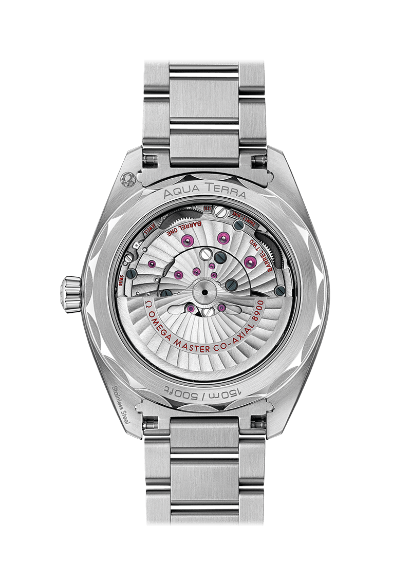 OMEGA Watch OMEGA Seamaster Aqua Terra O220.10.41.21.10.001