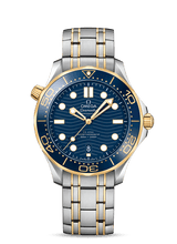 OMEGA Watch OMEGA Seamaster Diver 300m Co-Axial Master Chronometer 42 mm Watch O210.20.42.20.03.001