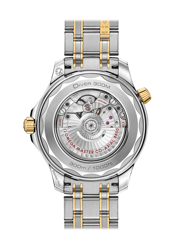 OMEGA Watch OMEGA Seamaster Diver 300m Co-Axial Master Chronometer 42 mm Watch O210.20.42.20.03.001