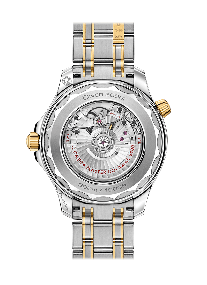 OMEGA Watch OMEGA Seamaster Diver 300m Co-Axial Master Chronometer 42 mm Watch O210.20.42.20.03.001