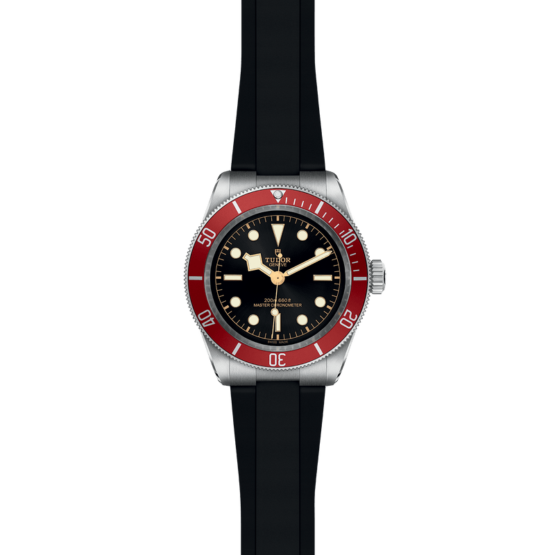 Tudor heritage 2025 black bay 41mm
