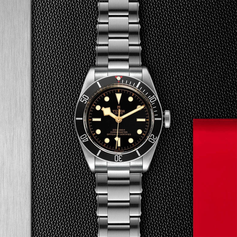 Tudor Watch Tudor Black Bay Watch M79230N-0009