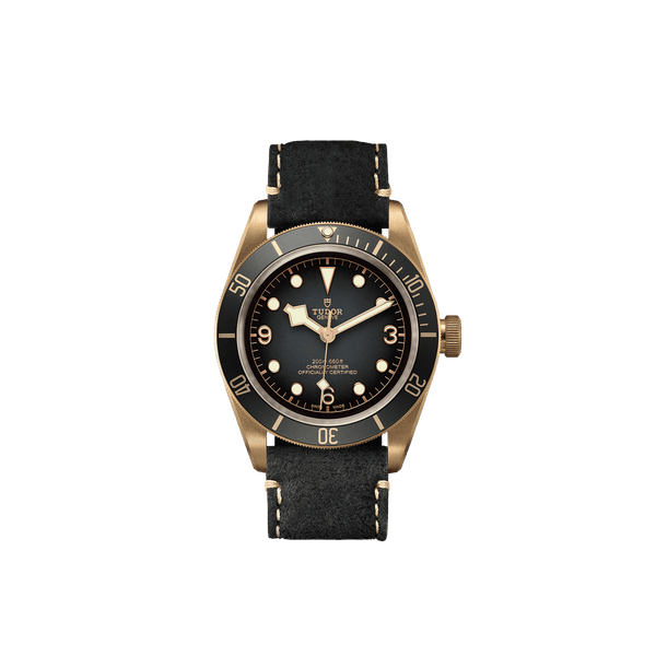 Tudor Watch Tudor Black Bay Bronze Watch M79250BA-0001