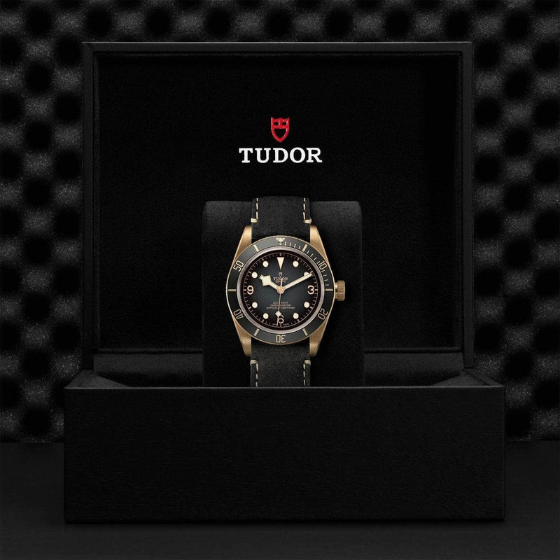 Tudor Watch Tudor Black Bay Bronze Watch M79250BA-0001