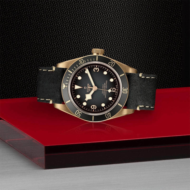 Tudor Watch Tudor Black Bay Bronze Watch M79250BA-0001