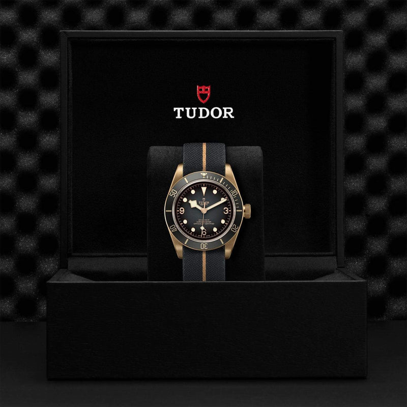 Tudor Watch Tudor Black Bay Bronze Watch M79250BA-0002