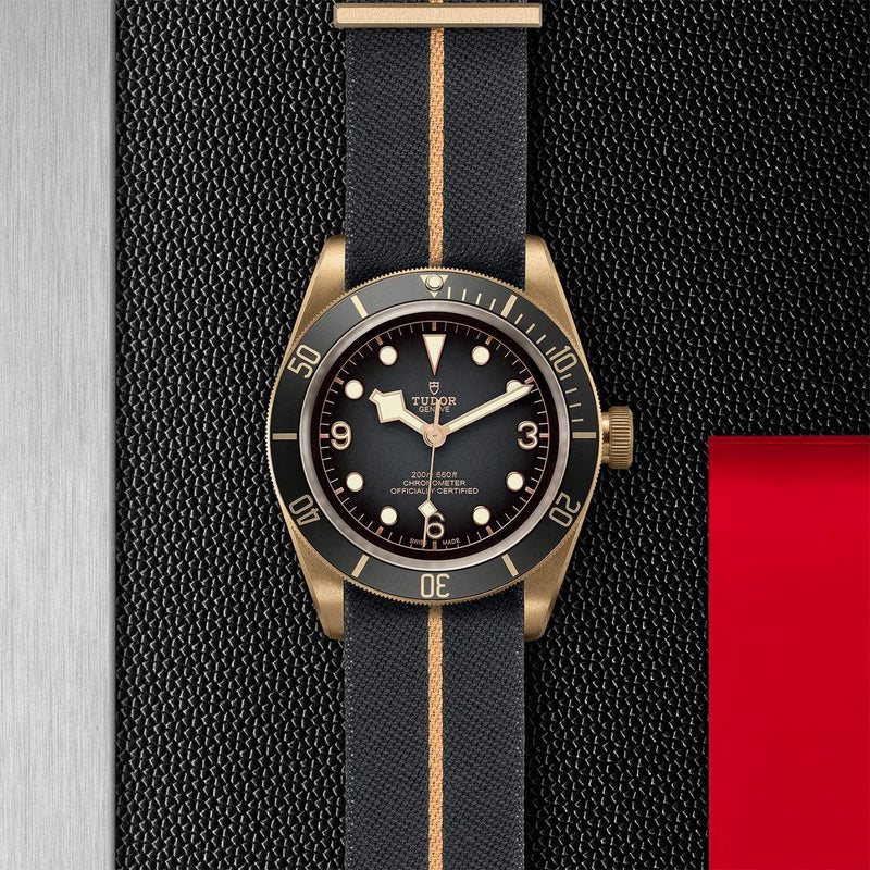 Tudor Watch Tudor Black Bay Bronze Watch M79250BA-0002