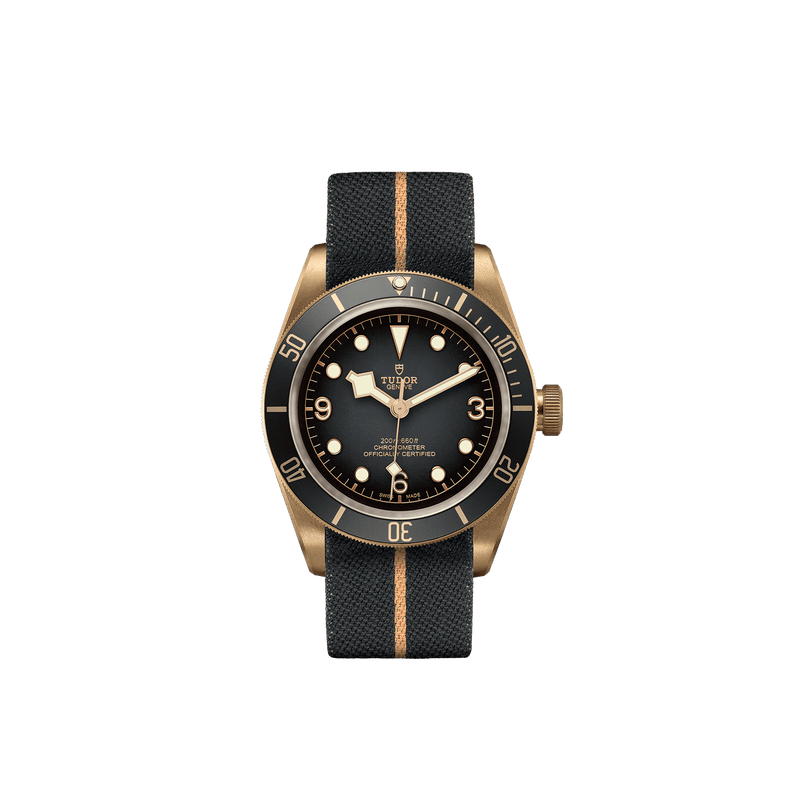 Tudor Watch Tudor Black Bay Bronze Watch M79250BA-0002