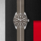 Tudor Watch Tudor Black Bay Fifty-Eight 925 Fabric Strap Watch M79010SG-0002