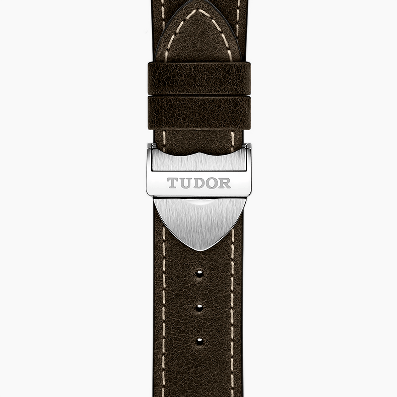 Tudor Watches Tudor Black Bay GMT Brown Leather Strap m79833mn-0003