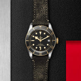 Tudor Watch Tudor Black Bay S&G Watch M79733N-0007