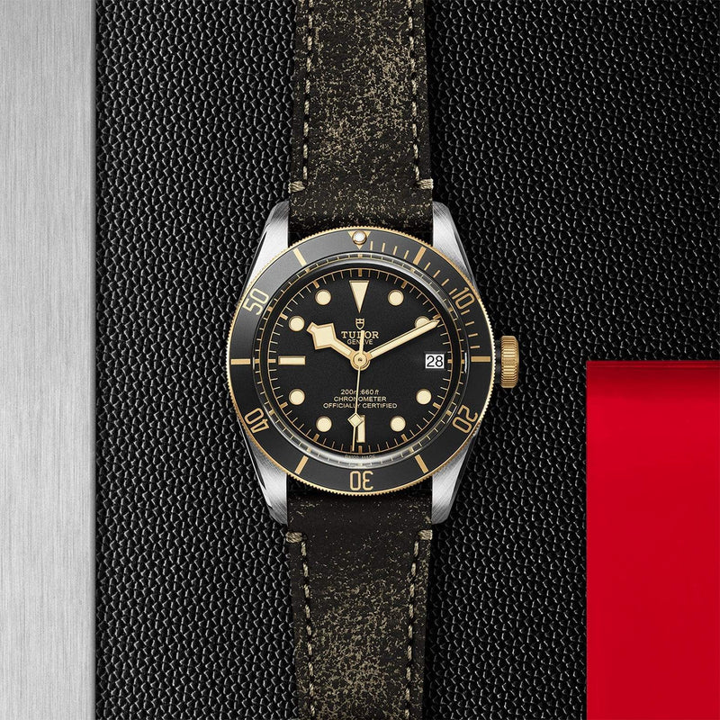 Tudor Watch Tudor Black Bay S&G Watch M79733N-0007
