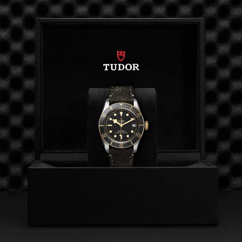 Tudor Watch Tudor Black Bay S&G Watch M79733N-0007