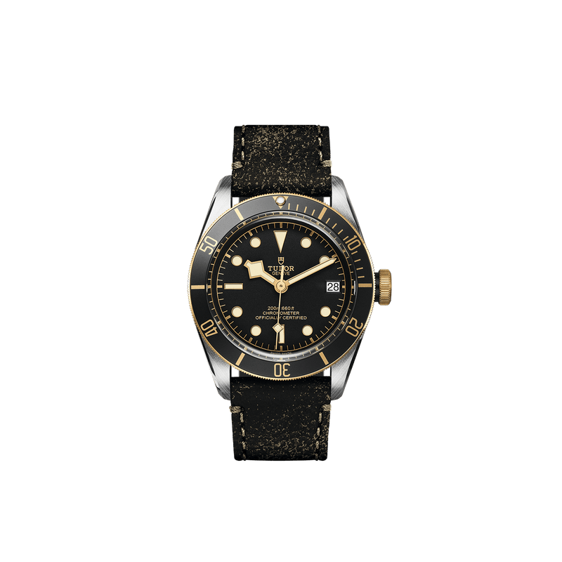 Tudor Watch Tudor Black Bay S&G Watch M79733N-0007