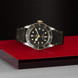 Tudor Watch Tudor Black Bay S&G Watch M79733N-0007