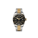 Tudor Watch Tudor Black Bay S&G Watch M79733N-0008