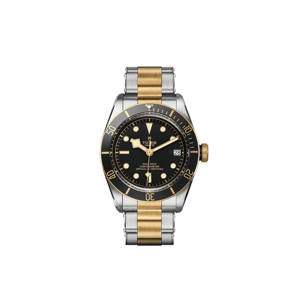 Tudor Watch Tudor Black Bay S&G Watch M79733N-0008