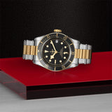 Tudor Watch Tudor Black Bay S&G Watch M79733N-0008