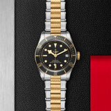 Tudor Watch Tudor Black Bay S&G Watch M79733N-0008