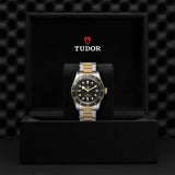 Tudor Watch Tudor Black Bay S&G Watch M79733N-0008