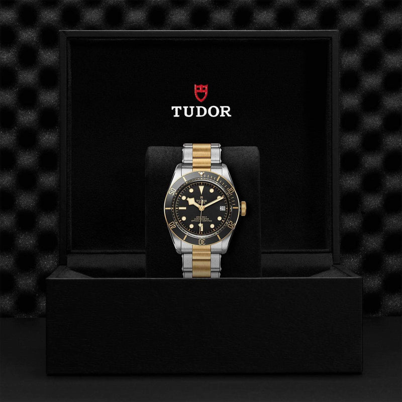 Tudor Watch Tudor Black Bay S&G Watch M79733N-0008