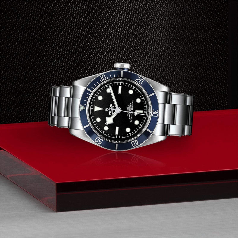 Tudor Watch Tudor Black Bay Watch M79230B-0008