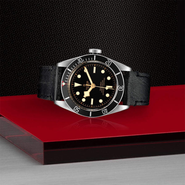 Tudor Watch Tudor Black Bay Watch M79230N-0008