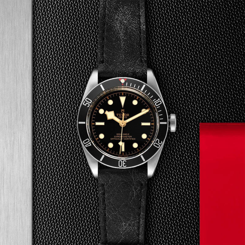 Tudor Watch Tudor Black Bay Watch M79230N-0008